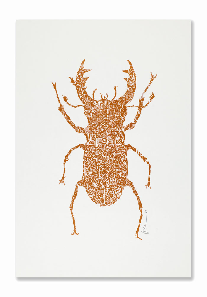 James Bates - Stag Beetle | Copper