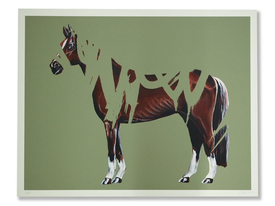 Shai Dahan |The Klotter Horse - Edition Print #2